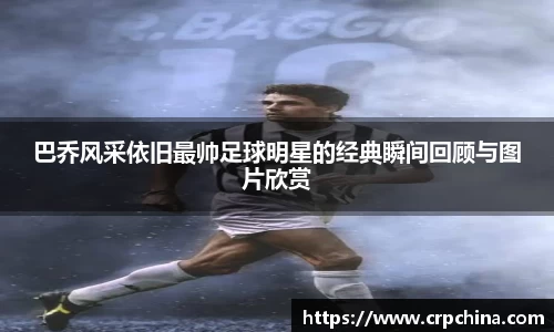 j9.com官方网站