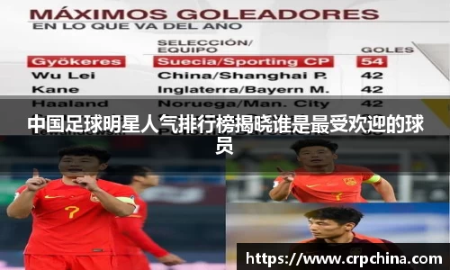 中国足球明星人气排行榜揭晓谁是最受欢迎的球员
